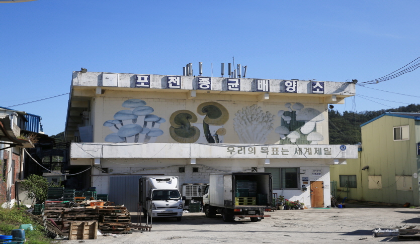 버섯마을
