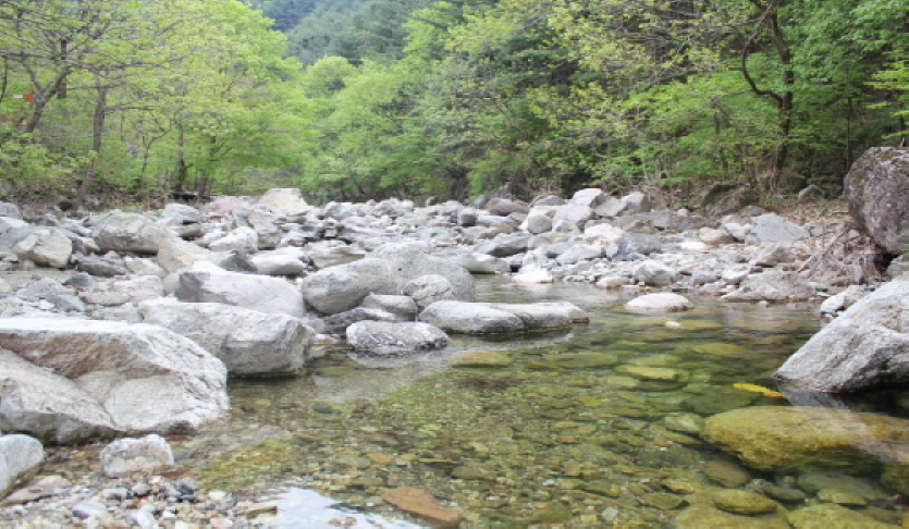 지장산계곡