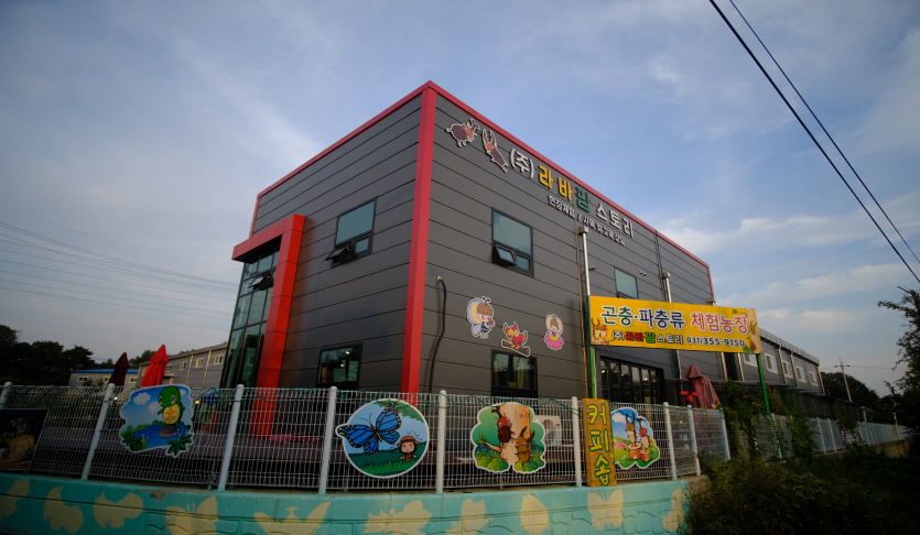 라바팜스토리