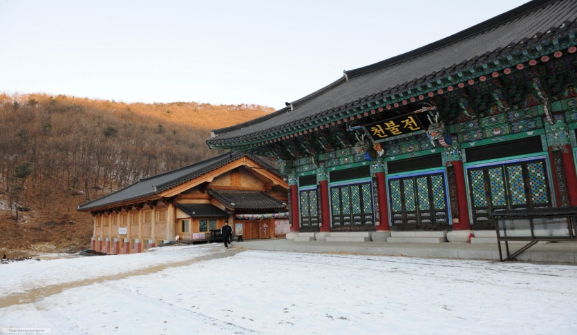 만의사
