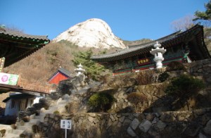 노적사