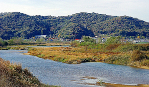 와룡산