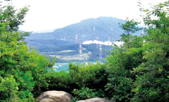 매미산