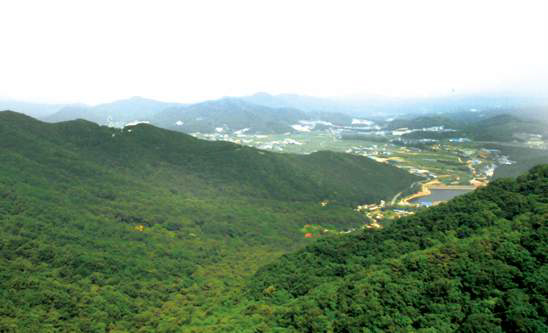 정광산