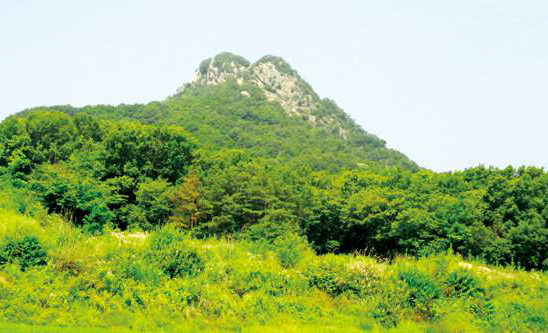 조비산