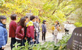 숲해설
