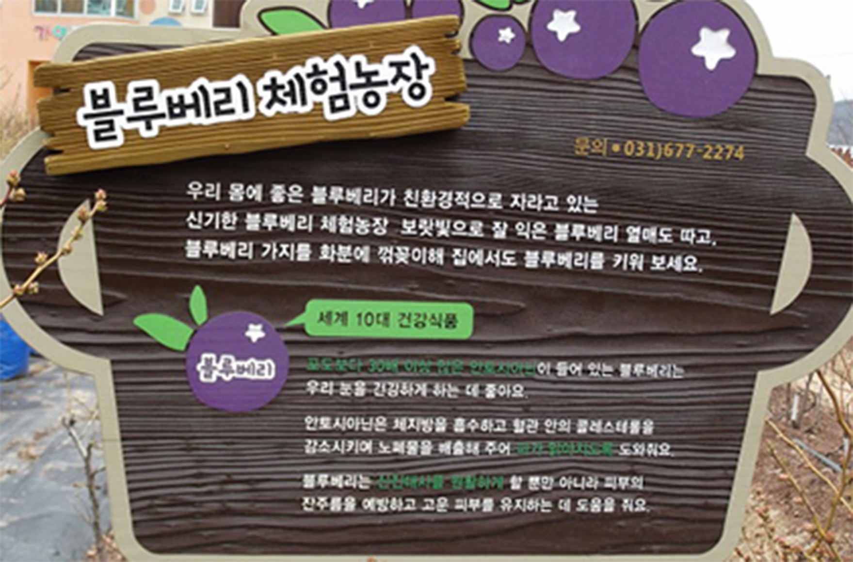 신기마을