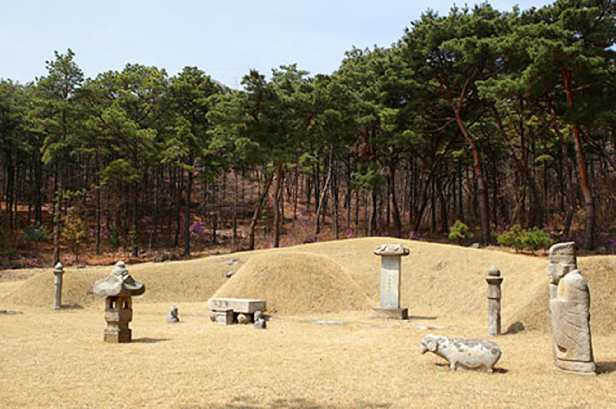 전주이씨 안양군묘