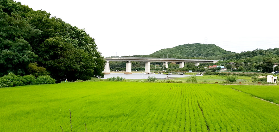 송라마을