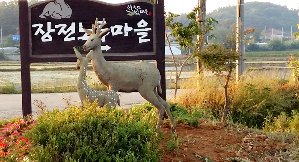 화성 장전마을( 화성시 포도축제)