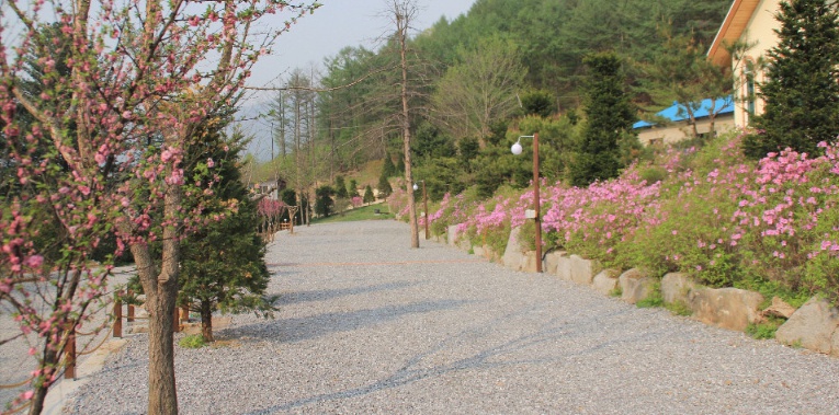 남양주 휴림캠핑장