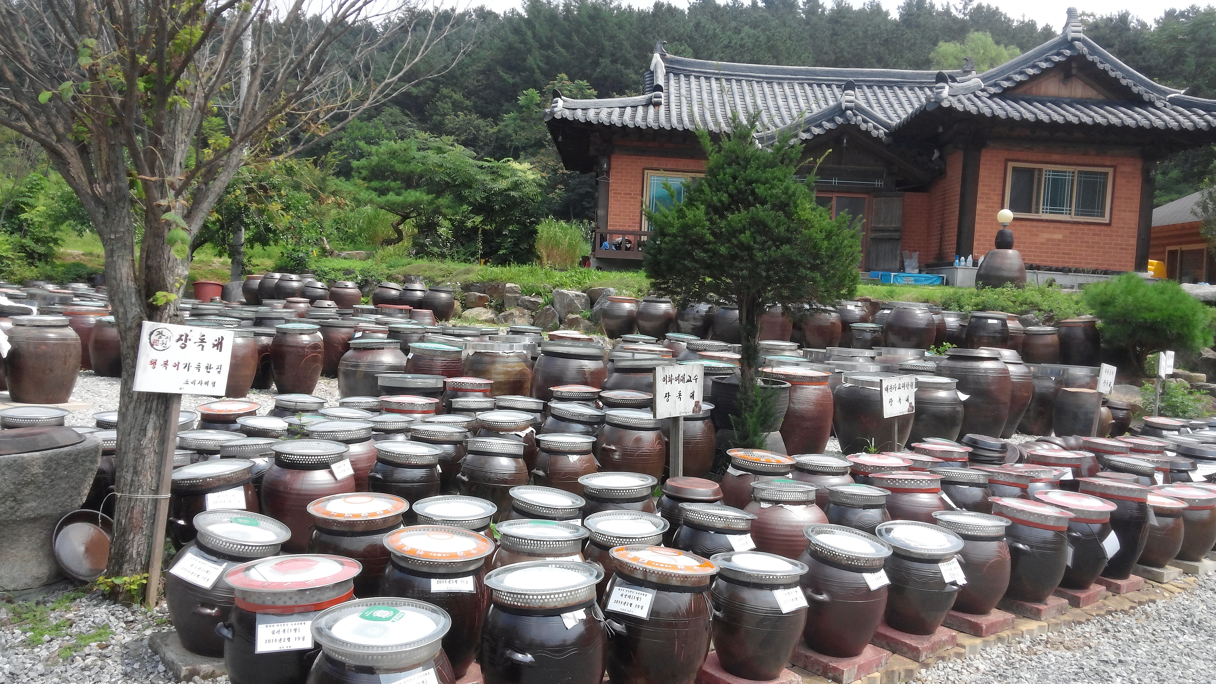 광이원