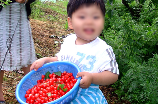그린토피아과수마을