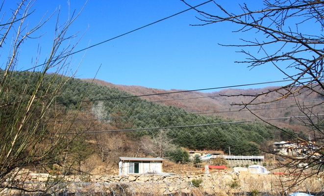 수덕산