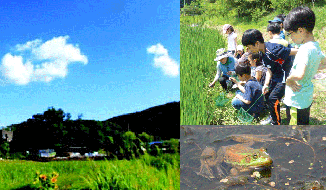 안터생태공원 생태체험