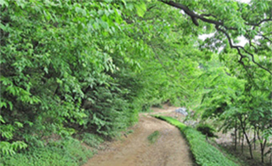 덕성산