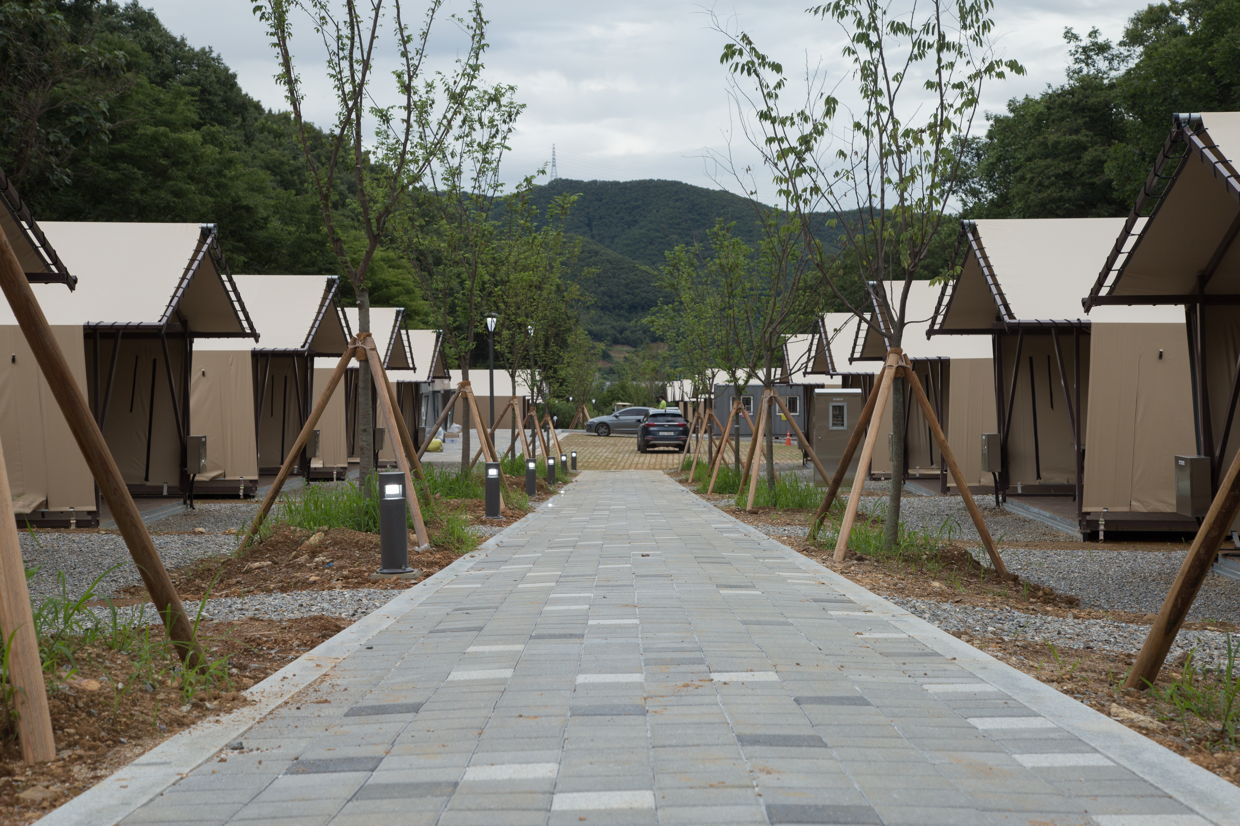 팀업캠퍼스 THE 포레스트 캠핑장