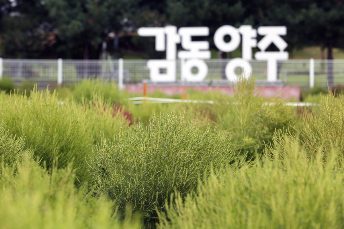 나리농원