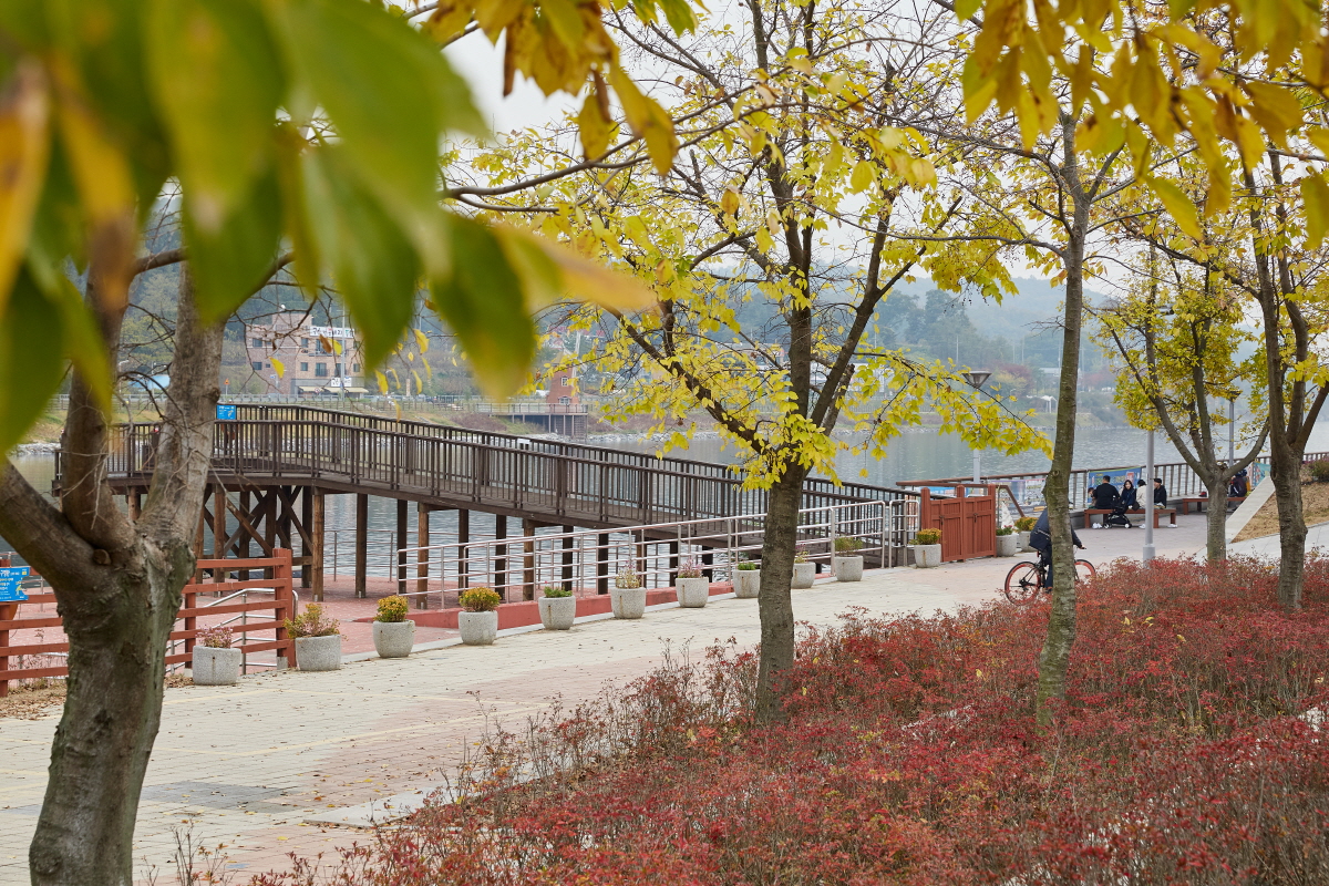 아라걷기길