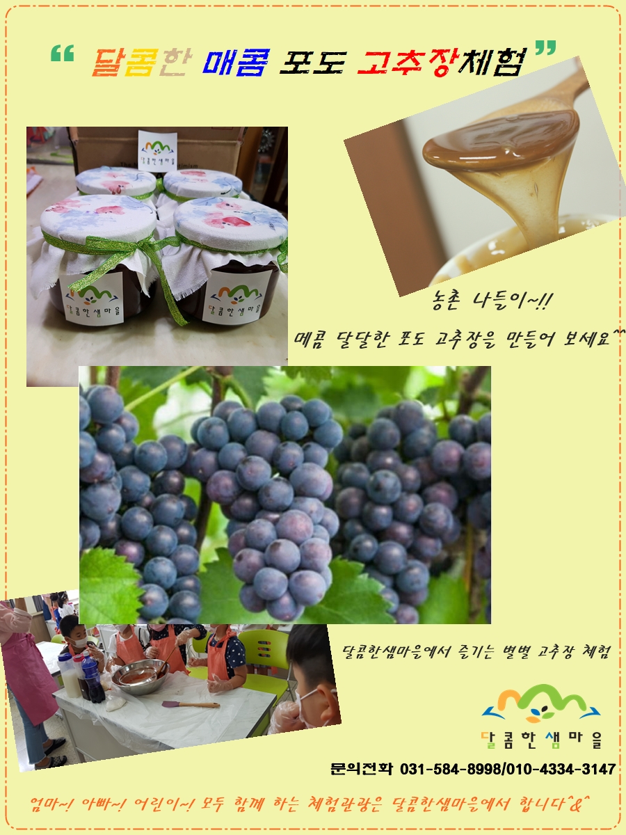 가평 달콤한 샘마을(포도고추장 체험)
