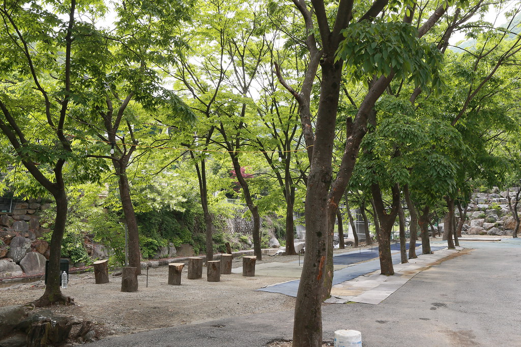 번천천