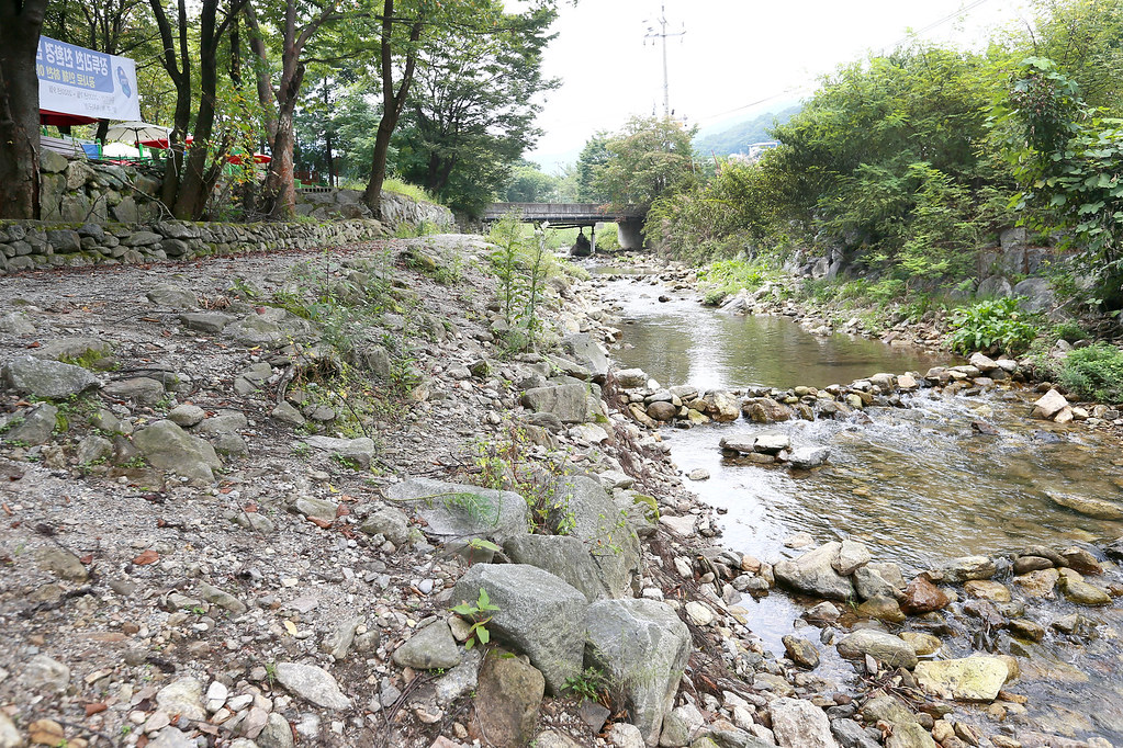 장투리천