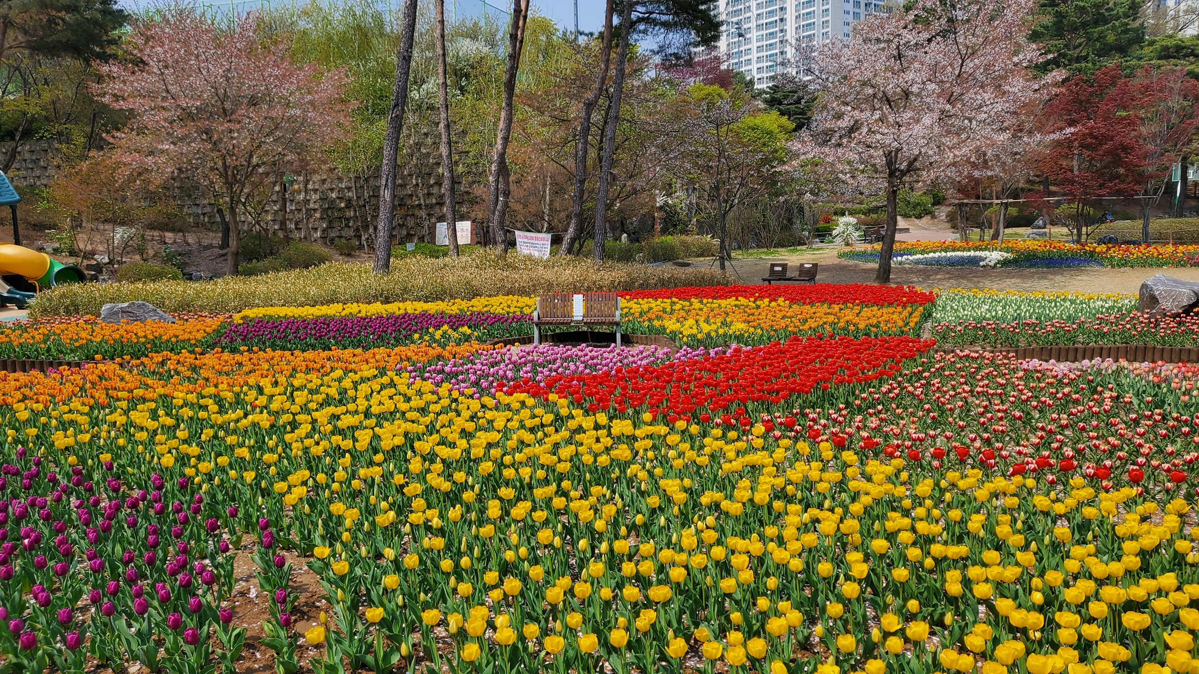 의정부 직동공원