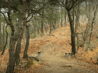 관산