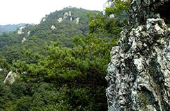 도일봉