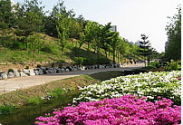 시민의강