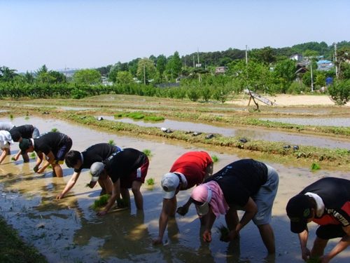 안성유별난마을