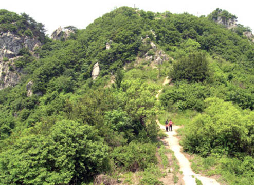 주금산
