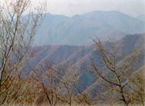 함왕봉