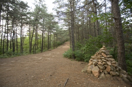 명학산