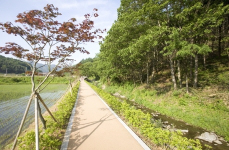 초리골 등산로