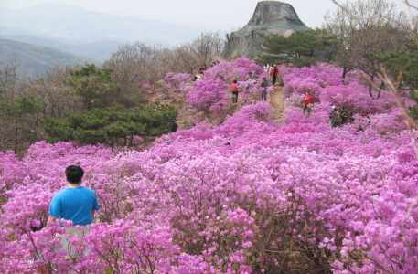 가현산