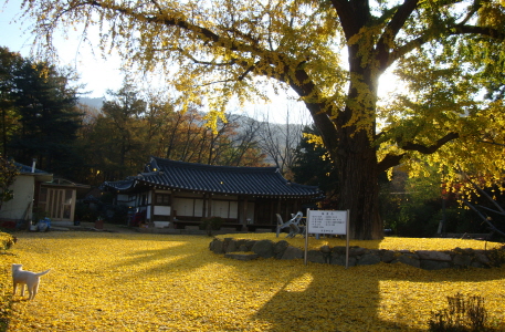서계 박세당 사랑채