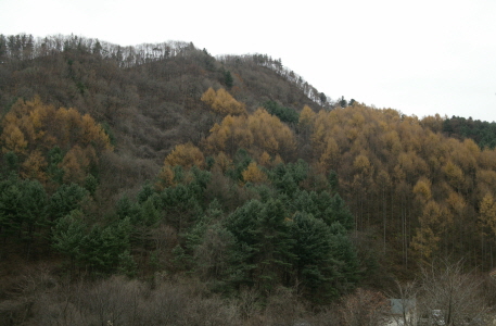 계관산