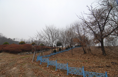 원흥동 신라말 고려초기 청자요