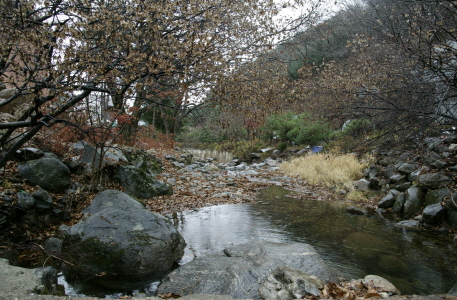 고동산