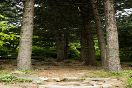중미산