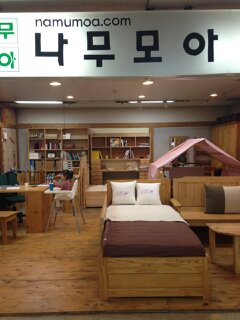 나무모아