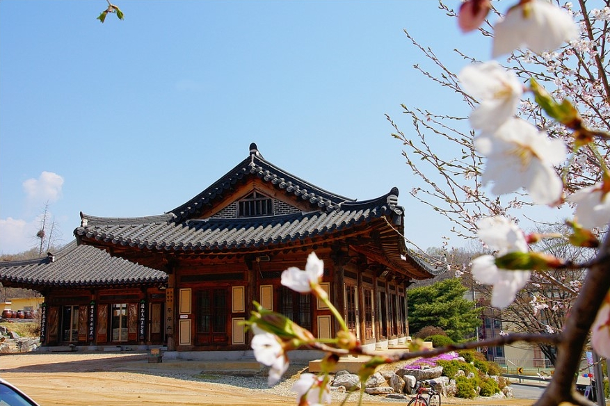 금정사