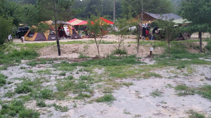 용인제일오토캠핑장