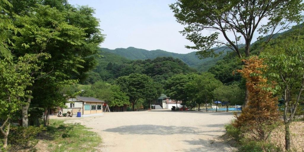 비타민 캠핑장