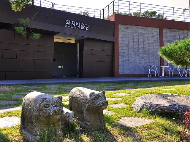 돼지테마파크