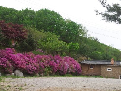 산마루글램핑&오토캠핑장
