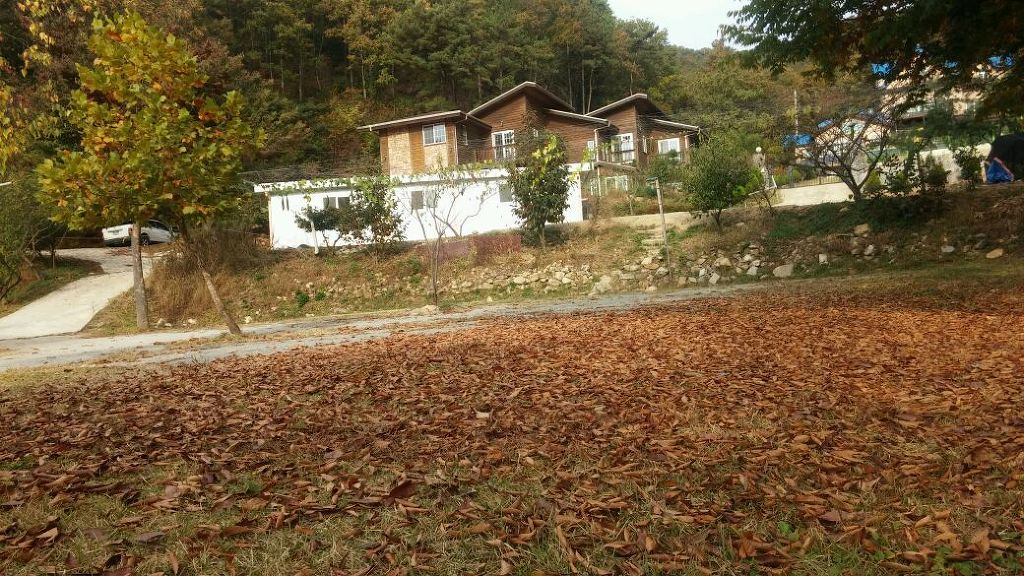 산우물쉼터캠핑장