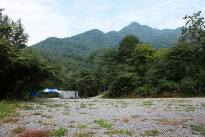 산으로간니모