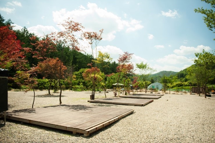 여주산촌오토캠핑장